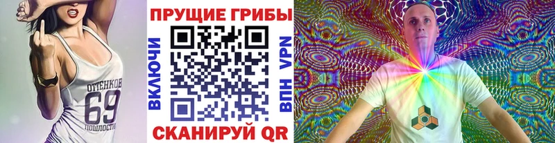 Псилоцибиновые грибы GOLDEN TEACHER Очёр